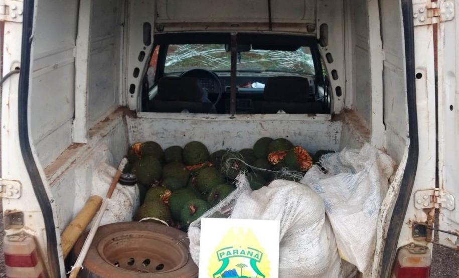 Polícia Militar recupera mais de 120 quilos de pinhão furtados em Palmas, no Sudoeste do estado