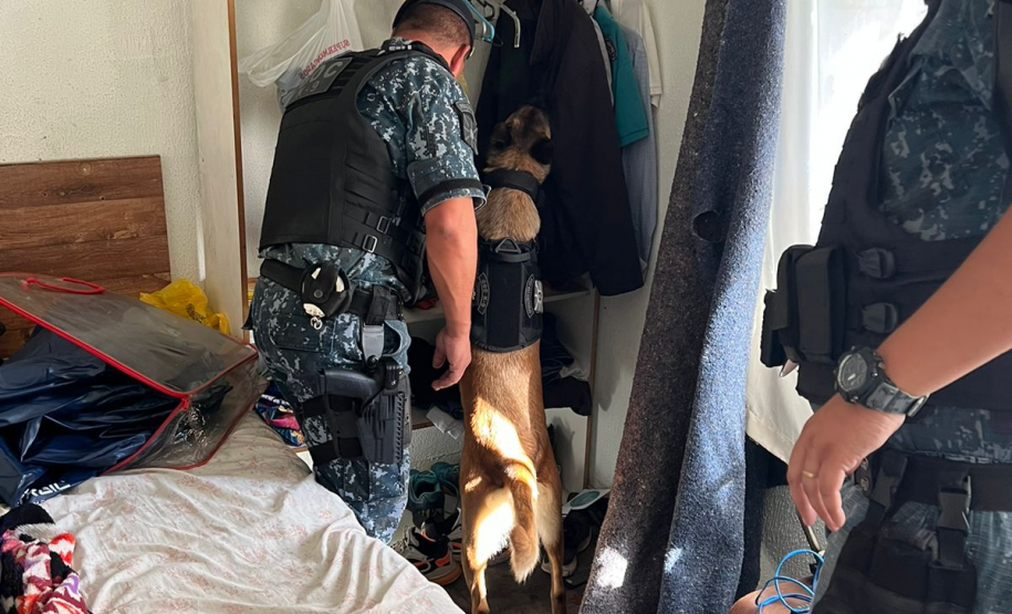 AIFU encaminha seis pessoas e apreende drogas e cigarros eletrônicos em Curitiba