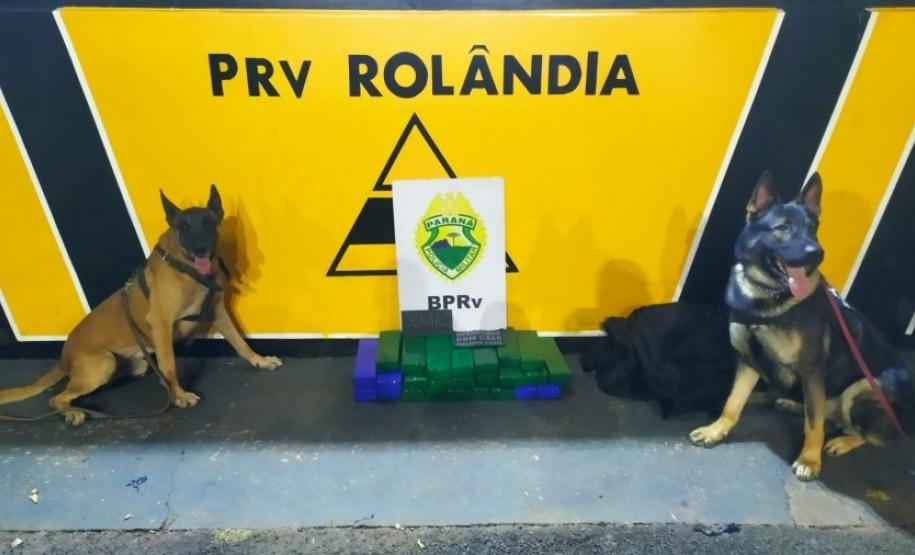 BATALHÃO APREENDE MACONHA E UMA CAMINHONETE PREPARADA PARA O TRANSPORTE DE ILÍCITOS