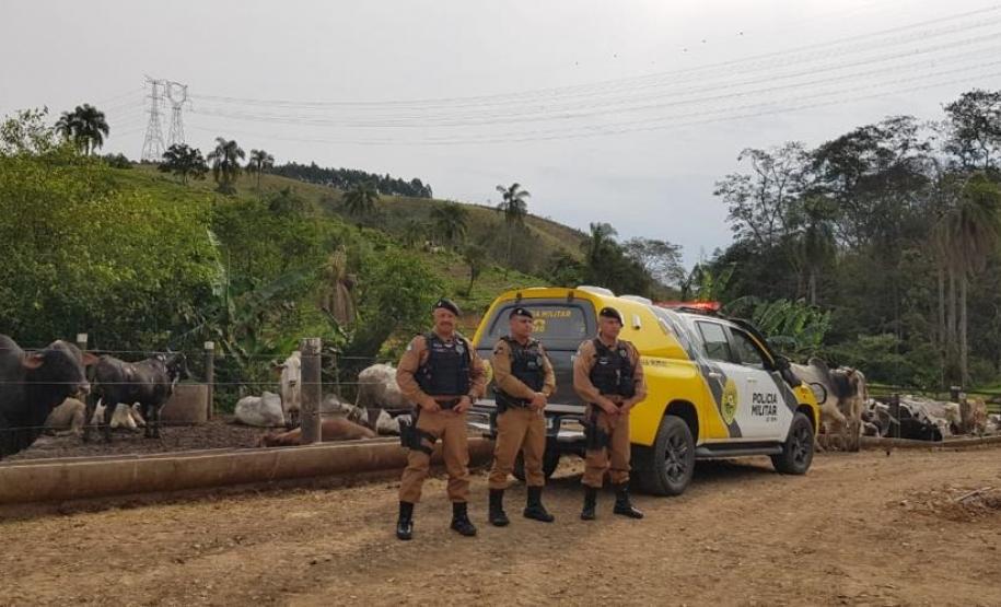 Foto: Divulgação/PMPR