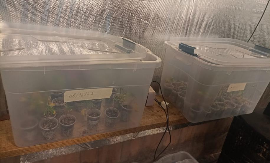 Foto: Divulgação/PMPR