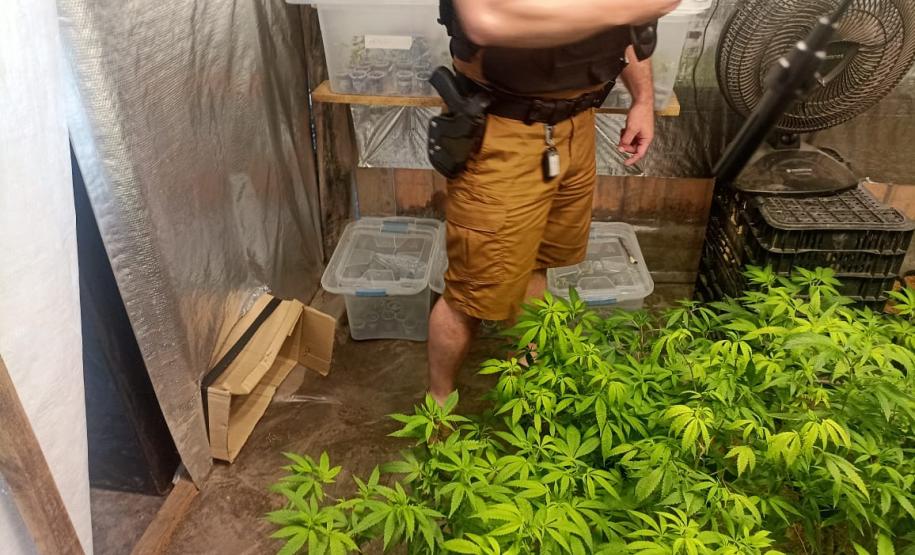 Foto: Divulgação/PMPR