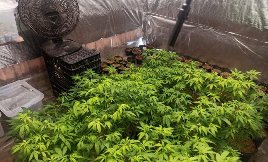 Foto: Divulgação/PMPR