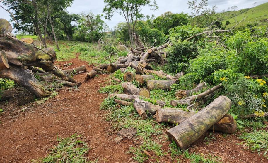 Batalhão Ambiental da PM flagra crimes ambientais em Altamira e Maringá.