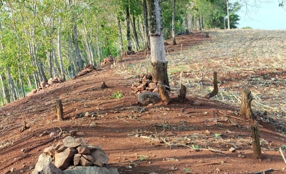 Batalhão Ambiental da PM flagra crimes ambientais em Altamira e Maringá.