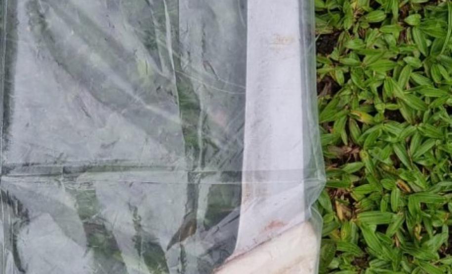 Policial Militar evita feminicídio durante o deslocamento ao trabalho em Curitiba