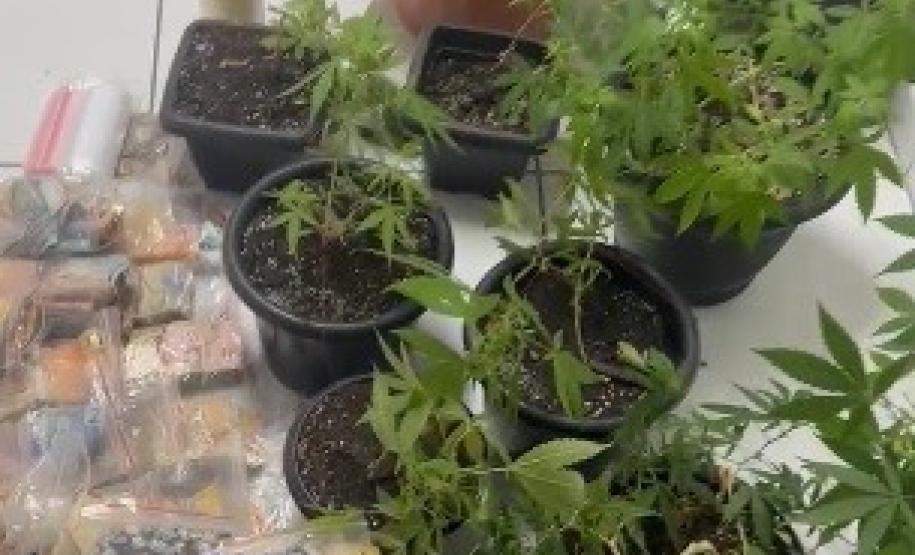 Drogas, armas e dinheiro em Paranaguá