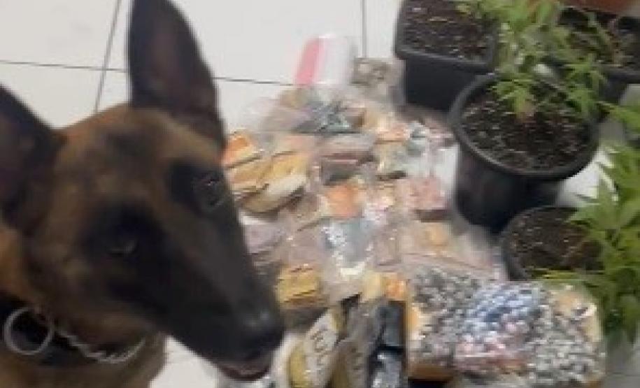 Drogas, armas e dinheiro em Paranaguá