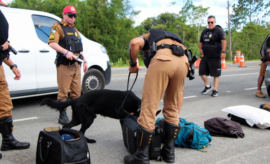 SEGURANÇA NAS ESTRADAS: FORÇAS DE SEGURANÇA PÚBLICA SE UNEM EM PROL DE UM LITORAL MAIS SEGURO