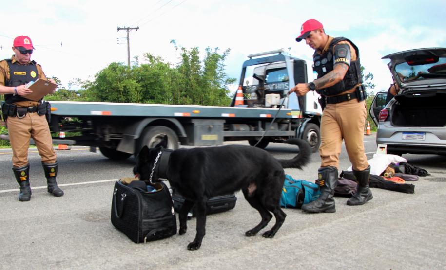 SEGURANÇA NAS ESTRADAS: FORÇAS DE SEGURANÇA PÚBLICA SE UNEM EM PROL DE UM LITORAL MAIS SEGURO