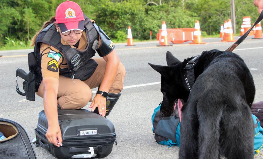SEGURANÇA NAS ESTRADAS: FORÇAS DE SEGURANÇA PÚBLICA SE UNEM EM PROL DE UM LITORAL MAIS SEGURO
