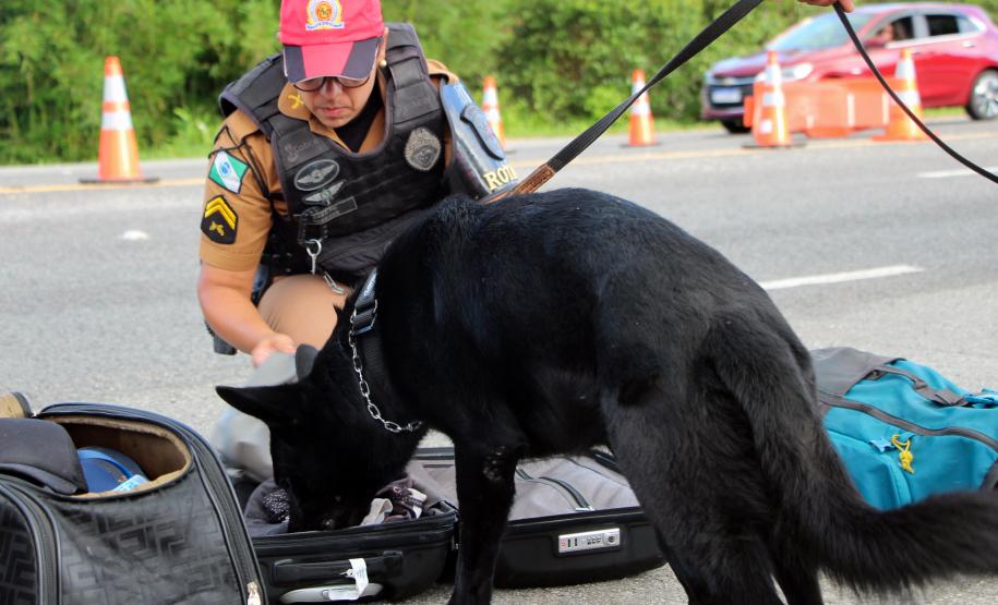 SEGURANÇA NAS ESTRADAS: FORÇAS DE SEGURANÇA PÚBLICA SE UNEM EM PROL DE UM LITORAL MAIS SEGURO