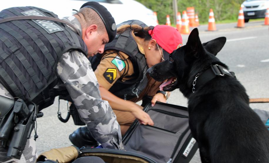 SEGURANÇA NAS ESTRADAS: FORÇAS DE SEGURANÇA PÚBLICA SE UNEM EM PROL DE UM LITORAL MAIS SEGURO