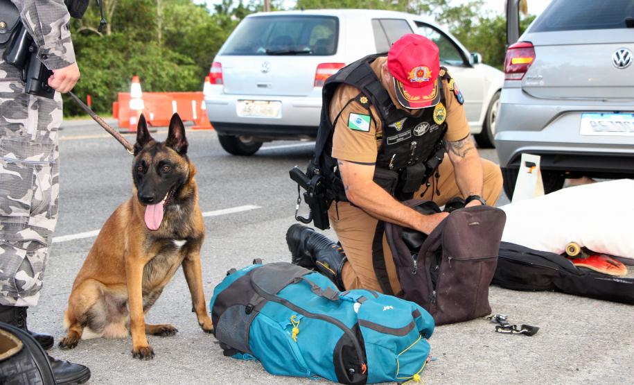 SEGURANÇA NAS ESTRADAS: FORÇAS DE SEGURANÇA PÚBLICA SE UNEM EM PROL DE UM LITORAL MAIS SEGURO
