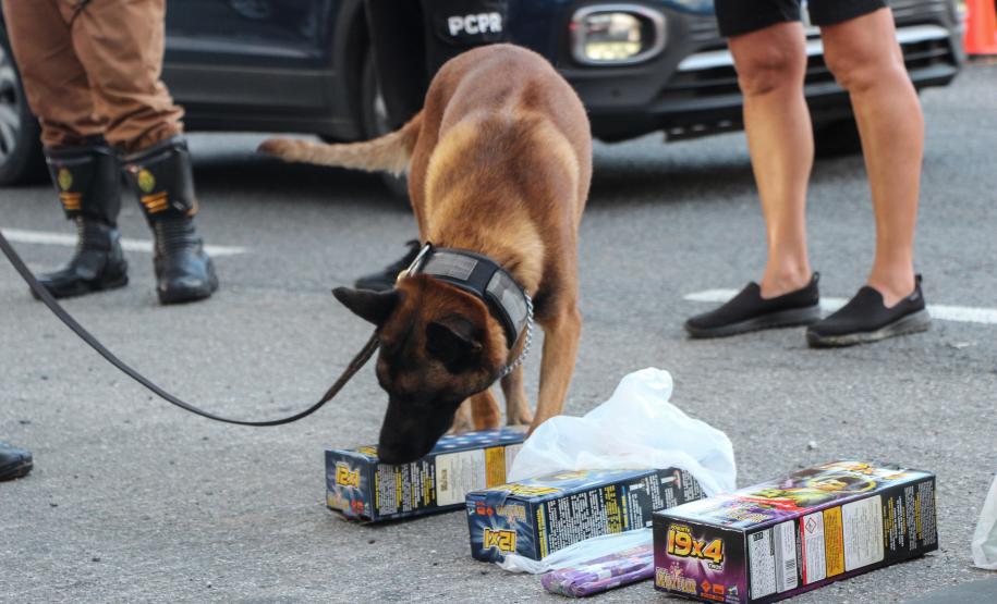SEGURANÇA NAS ESTRADAS: FORÇAS DE SEGURANÇA PÚBLICA SE UNEM EM PROL DE UM LITORAL MAIS SEGURO