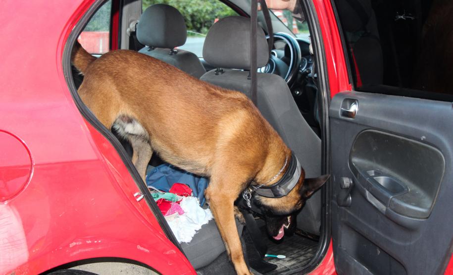 SEGURANÇA NAS ESTRADAS: FORÇAS DE SEGURANÇA PÚBLICA SE UNEM EM PROL DE UM LITORAL MAIS SEGURO