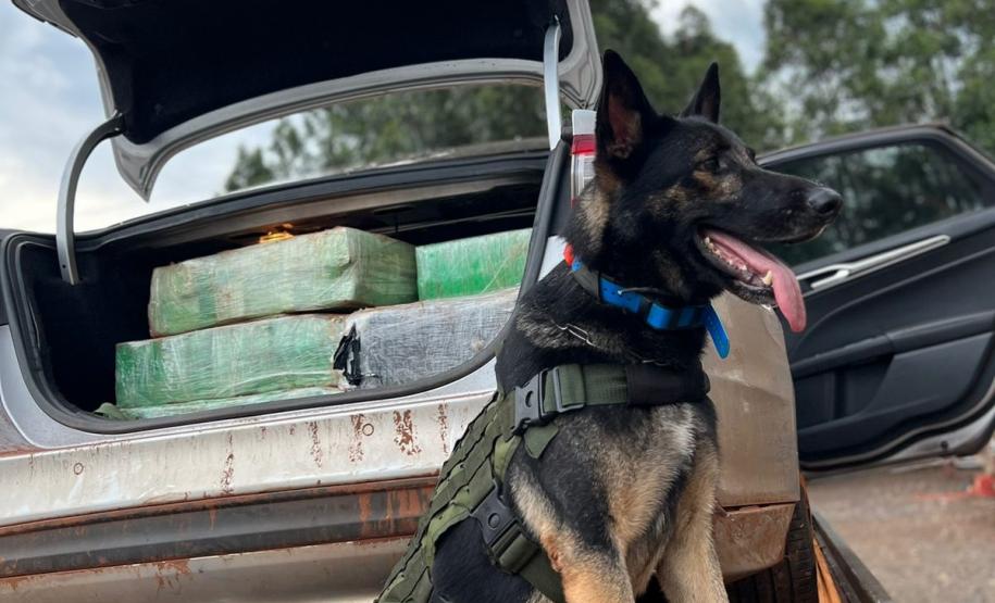 Apreensões do BPFRON