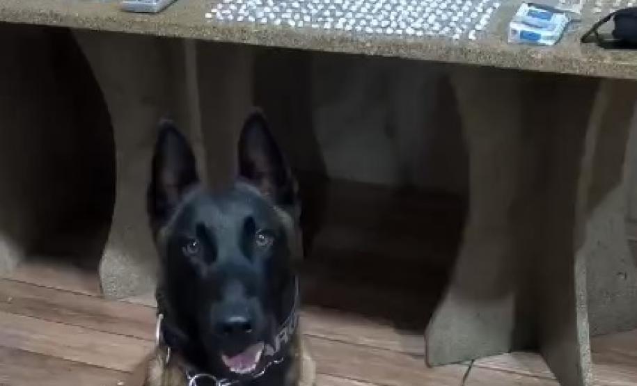 Apreensão drogas Pontal do Paraná