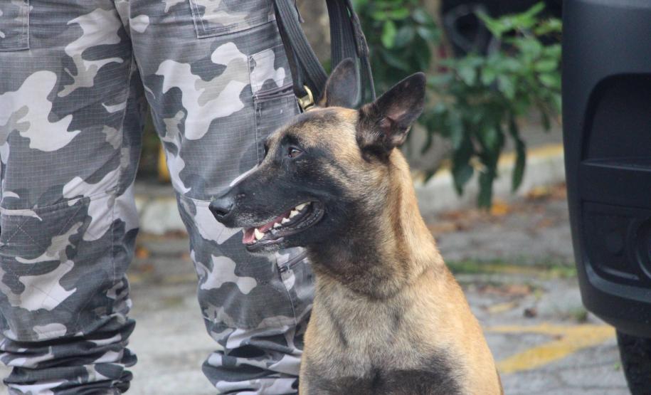 Fiscalização Integrada