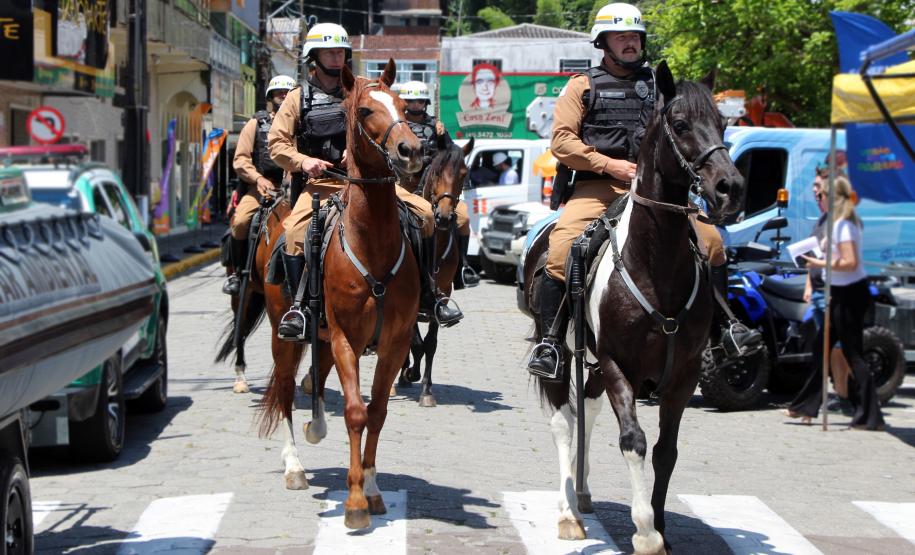 Fotos da Operação Verão