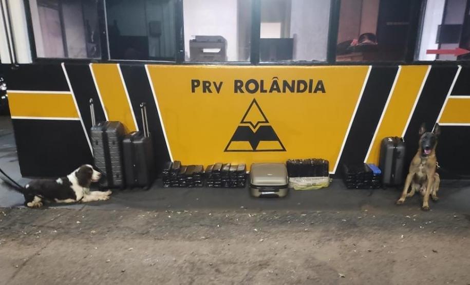 O cão farejador Airon foi fundamental na identificação de bolsas suspeitas