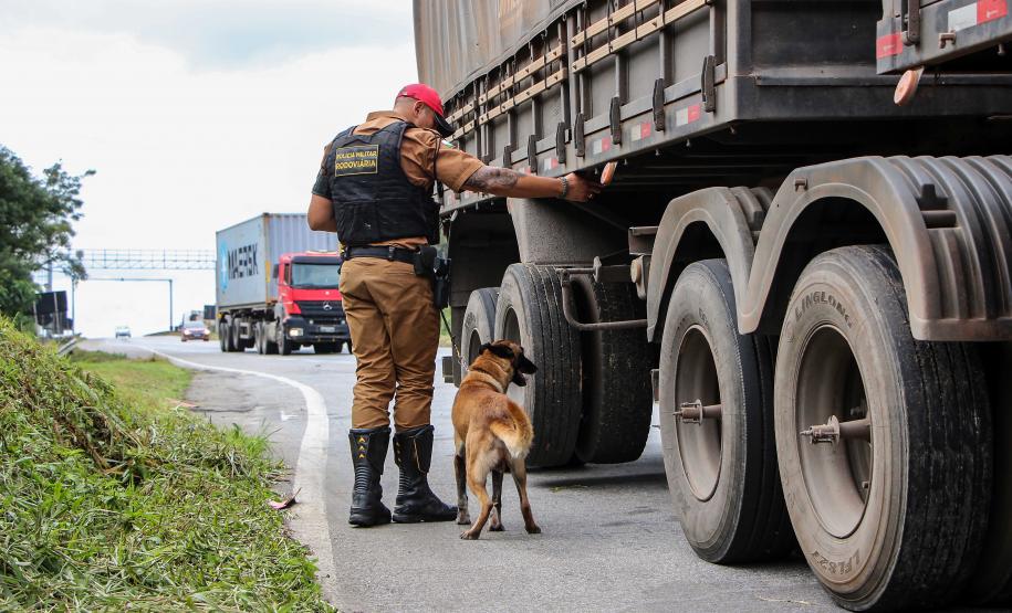 Operação Safra 2024
