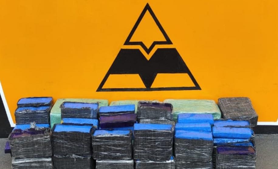 BPRv apreende quase 230 kg de maconha no último final de semana.