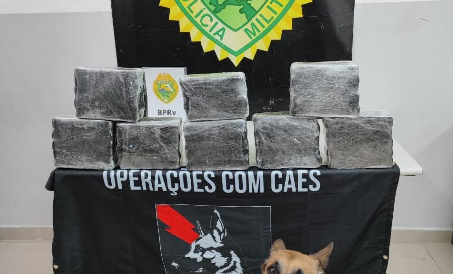Maconha é apreendida em Curitiba