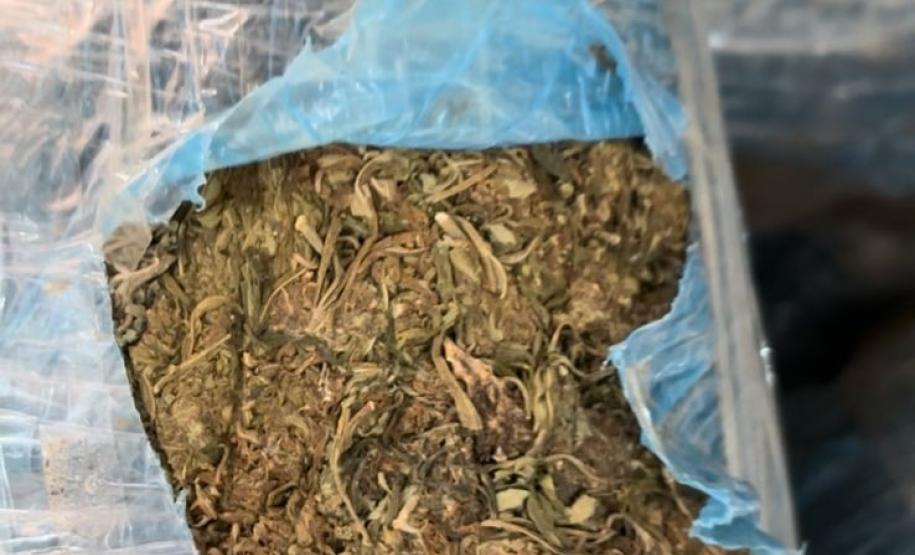 A carga incluía 50 pacotes de capulho e 7 fardos de maconha prensada