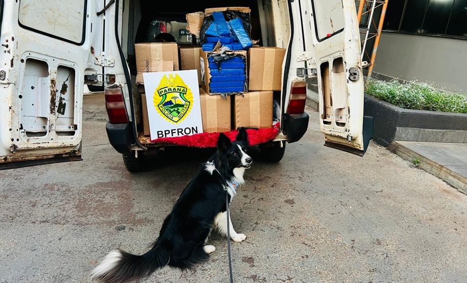 A operação resultou em um prejuízo estimado de R$ 1.000.000,00