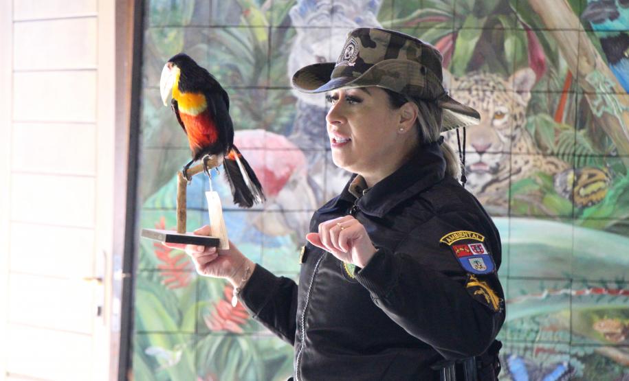 O plantio na Grande Reserva Mata Atlântica, não poderia ser mais simbólica