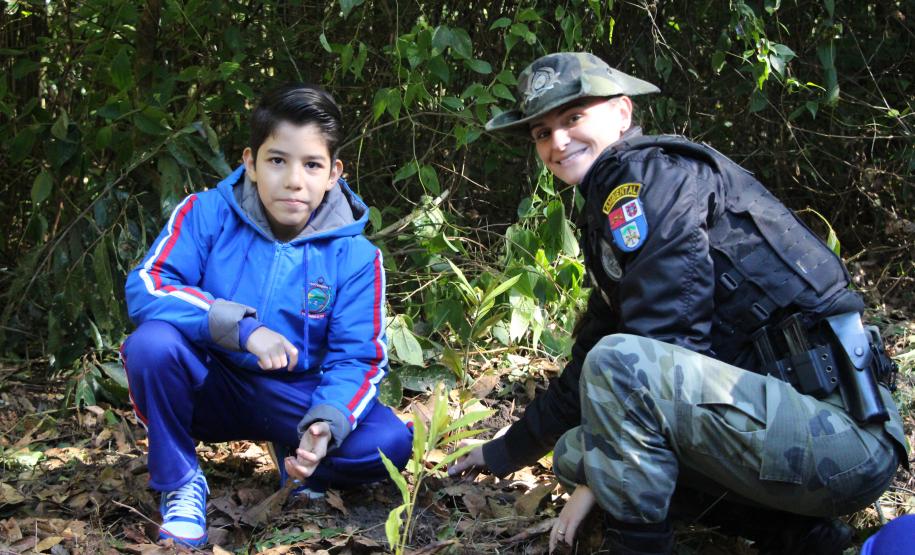 O plantio na Grande Reserva Mata Atlântica, não poderia ser mais simbólica