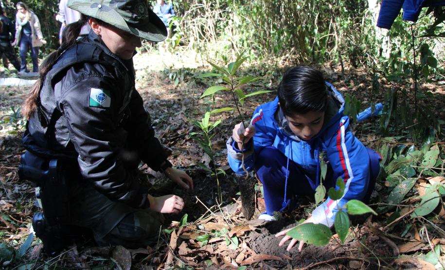 O plantio na Grande Reserva Mata Atlântica, não poderia ser mais simbólica