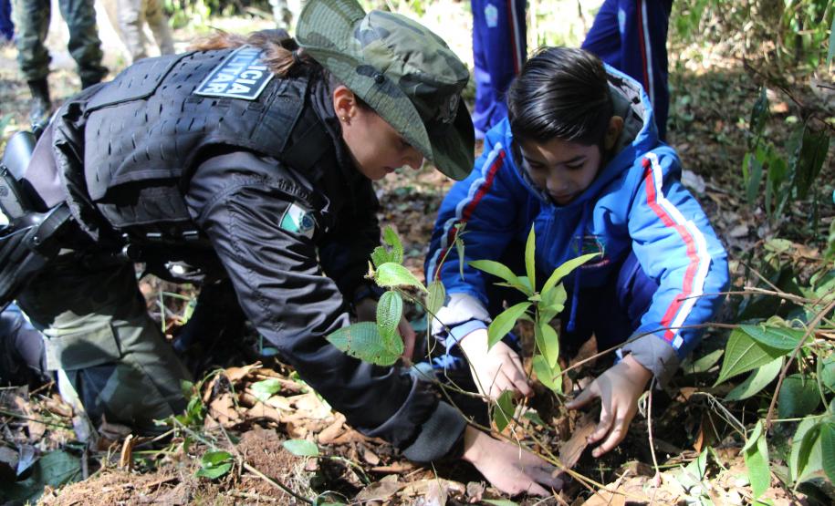 O plantio na Grande Reserva Mata Atlântica, não poderia ser mais simbólica