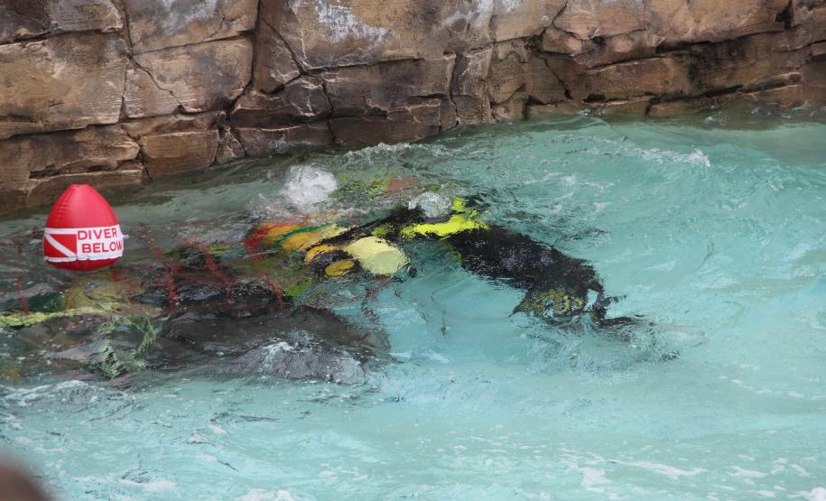 O ENAVSEG 2024 se destaca como um dos grandes eventos de aviação de segurança pública do Brasil