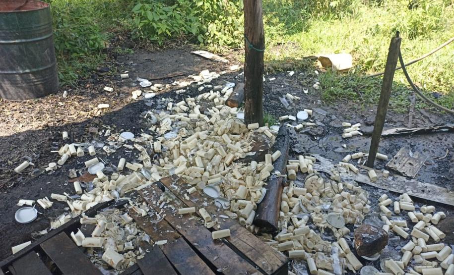 Apreensão de palmito em Adrianópolis