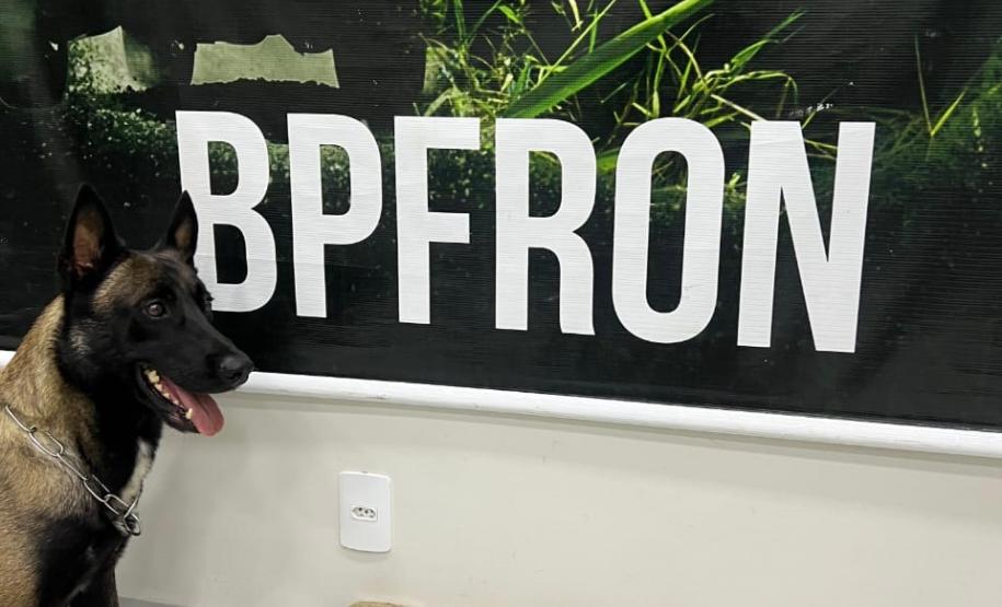 PMPR e BPFRON apreendem 5,2 kg de crack em ônibus na rodoviária de Umuarama