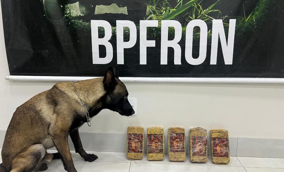 PMPR e BPFRON apreendem 5,2 kg de crack em ônibus na rodoviária de Umuarama