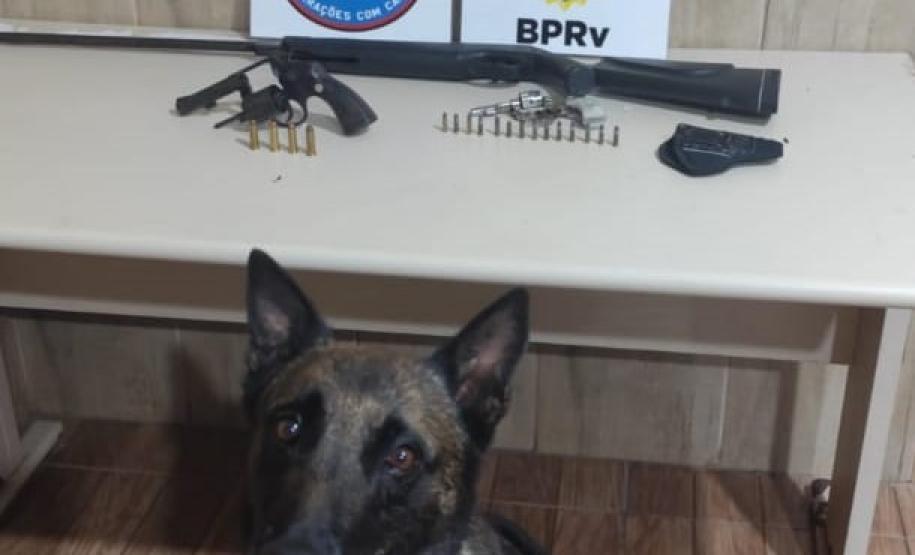 As armas e munições apreendidas foram apresentadas à autoridade policial para as providências cabíveis