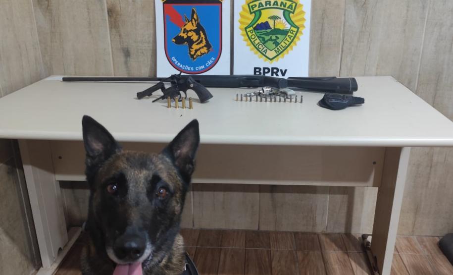 As armas e munições apreendidas foram apresentadas à autoridade policial para as providências cabíveis