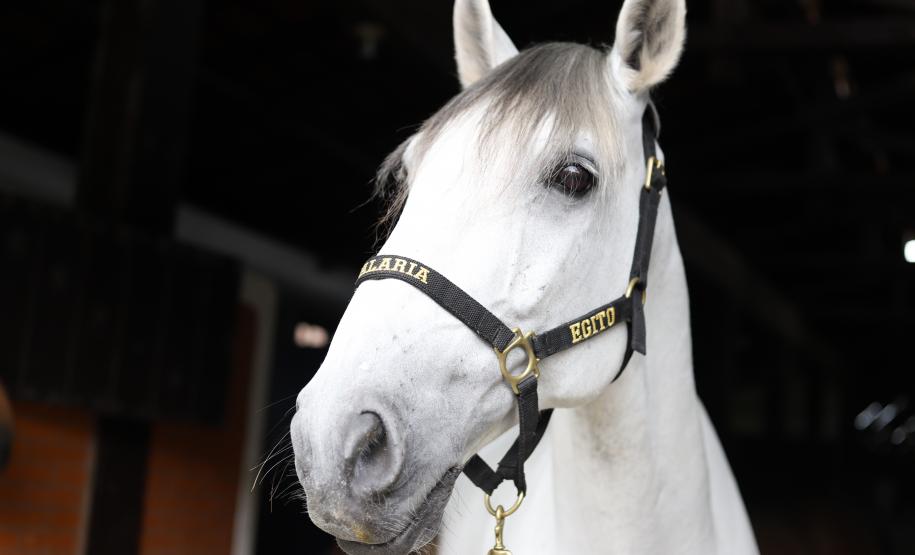 O coronel Jefferson Silva, acompanhado pelo Chefe do Estado-Maior, coronel Paulo Roberto Lima, realizaram encontros para acompanhar de perto as atividades