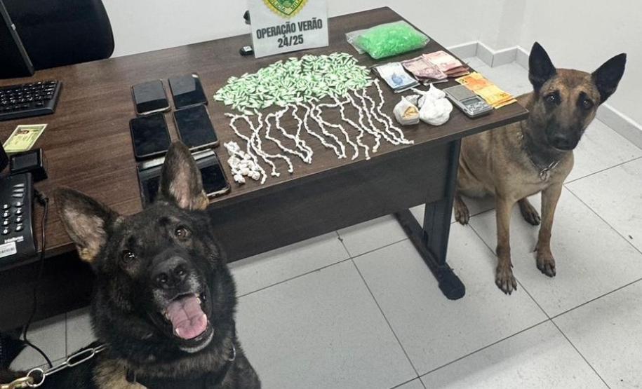 Com o apoio dos cães de faro, as buscas resultaram na apreensão de 347 pinos de substância análoga à cocaína