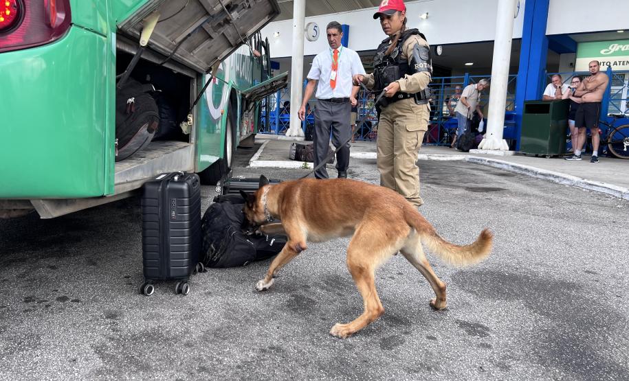 A Operação Cannis Fortis mobilizou todos os batalhões e unidades da corporação que possuem cães policiais