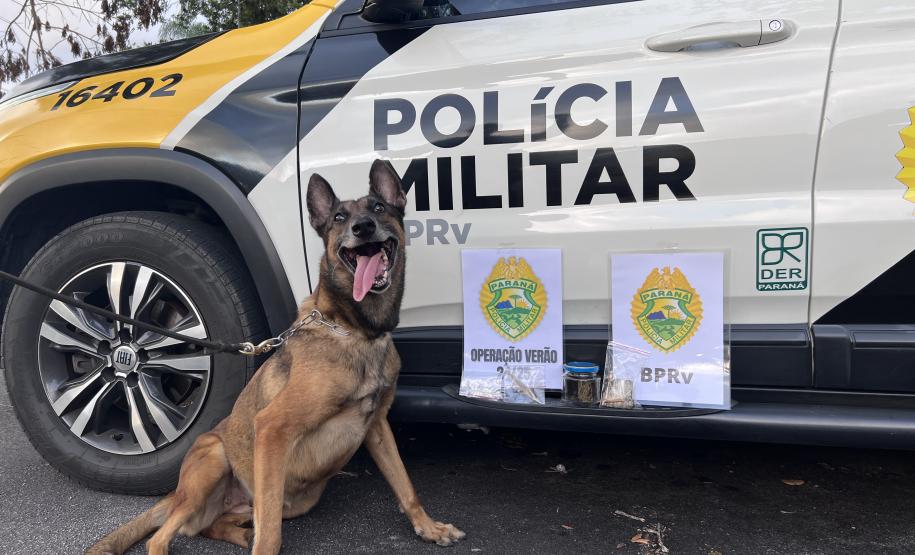 A Operação Cannis Fortis mobilizou todos os batalhões e unidades da corporação que possuem cães policiais
