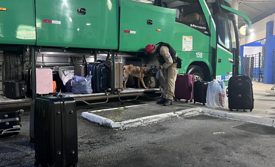 A Operação Cannis Fortis mobilizou todos os batalhões e unidades da corporação que possuem cães policiais