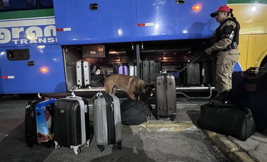 A Operação Cannis Fortis mobilizou todos os batalhões e unidades da corporação que possuem cães policiais