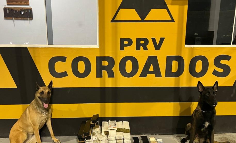 PMPR prende mulher que transportava mais de 20 quilos de maconha no litoral
