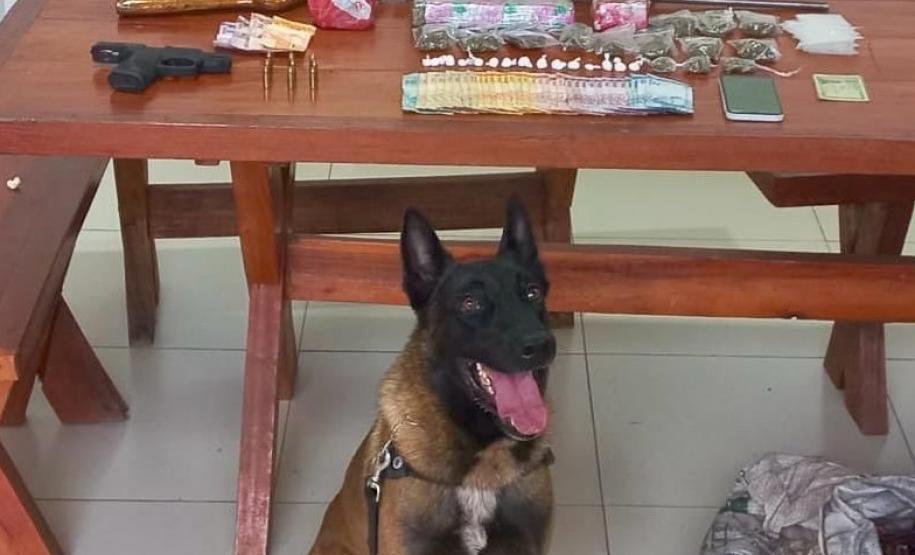 Polícia Militar do Paraná cumpre mandados de busca e apreensão em Santo Antônio da Platina