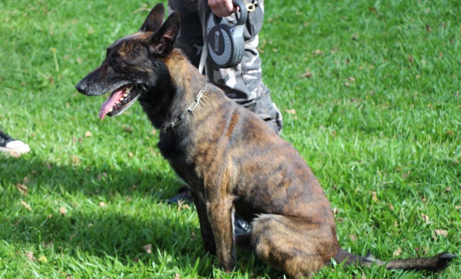 Polícia Militar do Paraná integra evento em alusão ao Dia Internacional da Mulher