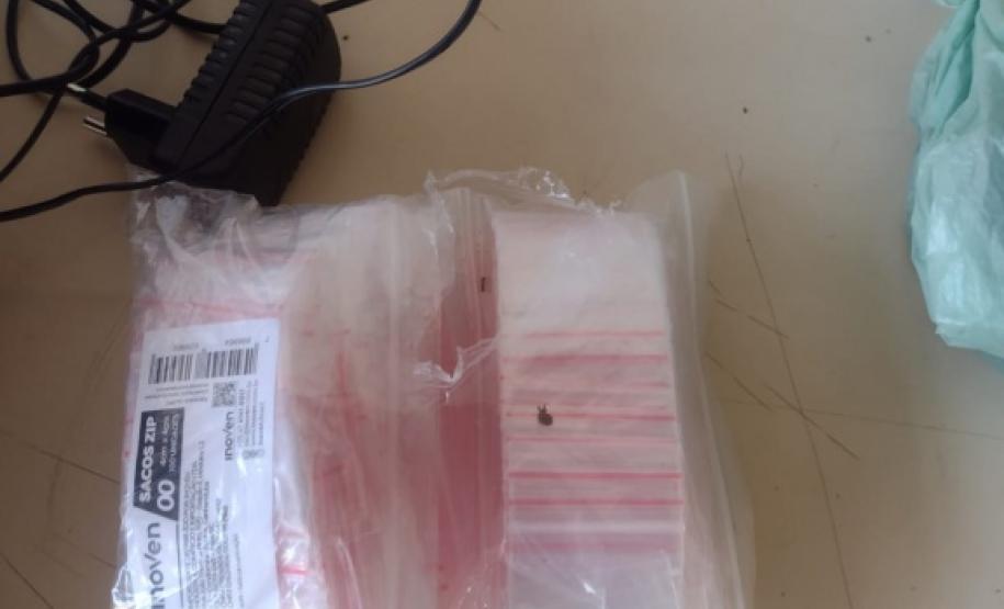 Polícia Militar do Paraná apreende 1,6 quilos de maconha em ação na Zona Norte de Londrina